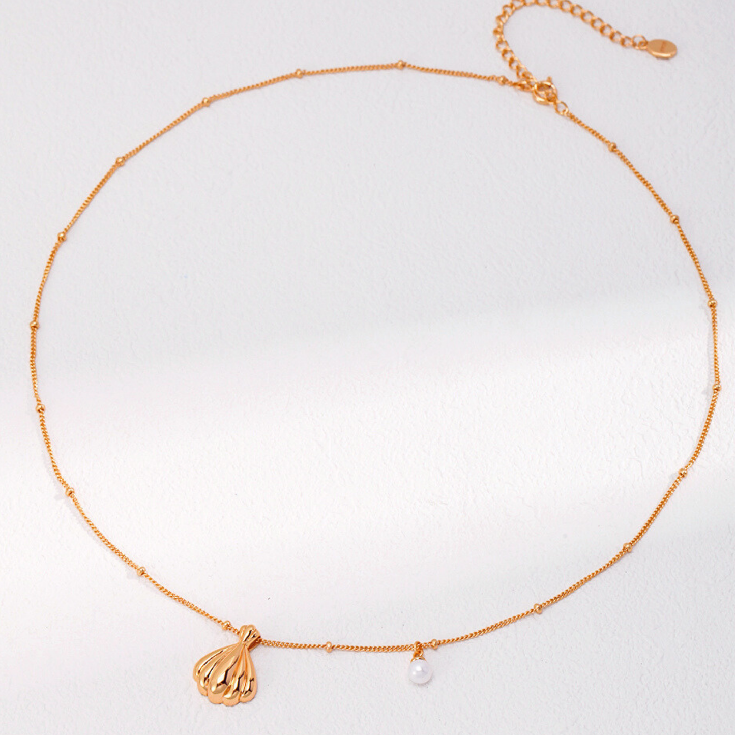 Shell Minimalist Necklace